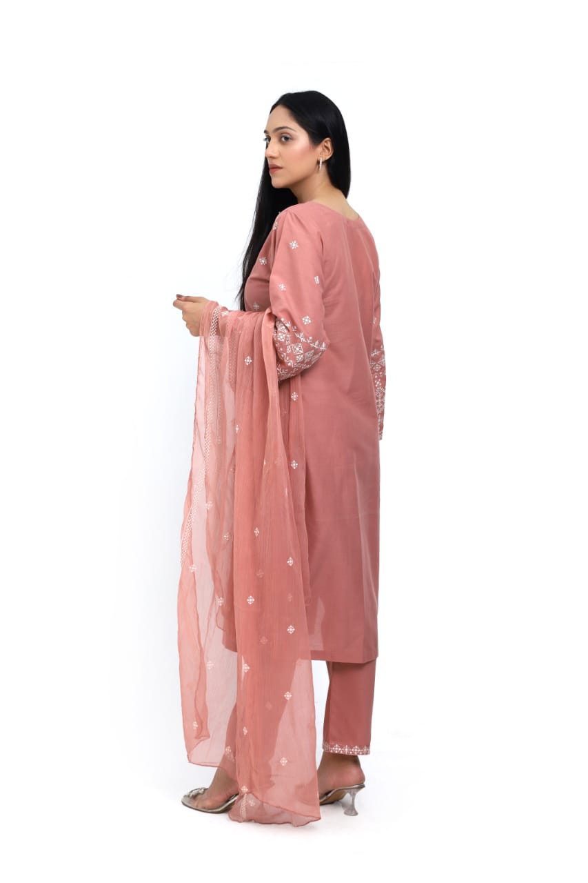 Whimsical Lawn Suit with Intricate Embroidery