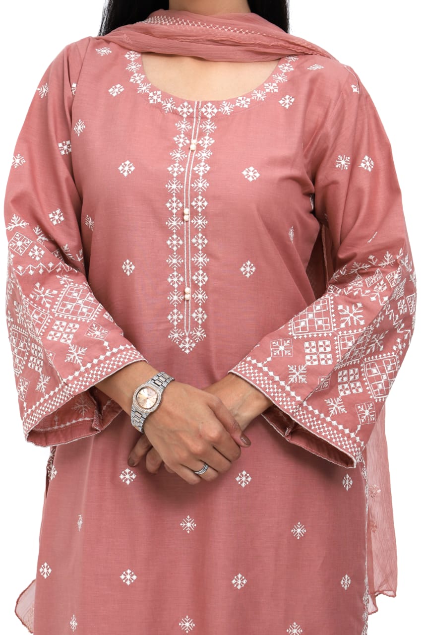 Whimsical Lawn Suit with Intricate Embroidery