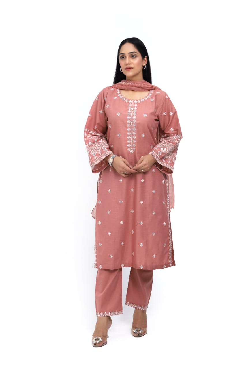 Whimsical Lawn Suit with Intricate Embroidery